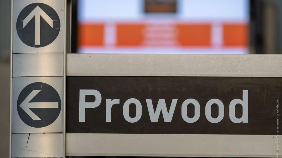 Prowood